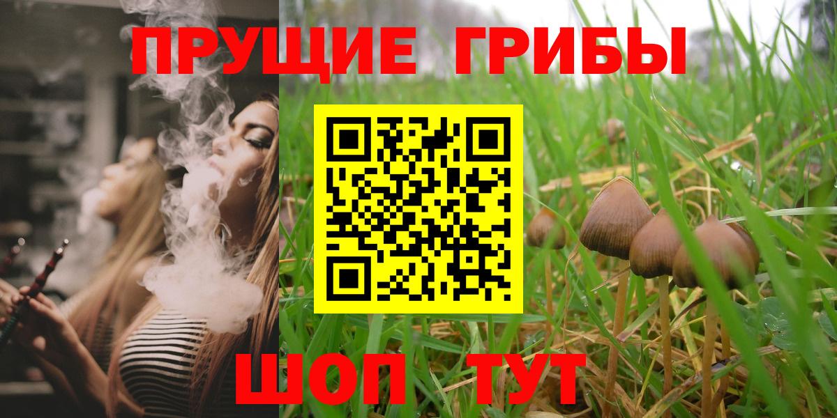 Кинель  Псилоцибиновые грибы Psilocybe  купить наркотик  Вход с VPN 